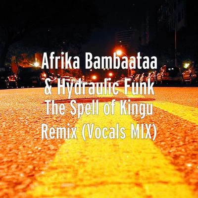 Afrika Bambaataa The Spell of Kingu (Remix) [Vocals Mix]