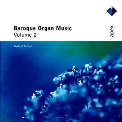 Baroque Organ Music Vol.2 專輯 Herbert Tachezi