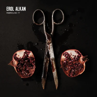 FABRICLIVE 77: Erol Alkan 专辑 Claro Intelecto