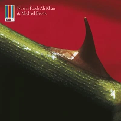 Night Song (Real World Gold) 专辑 Nusrat Fateh Ali Khan/Michael Brook