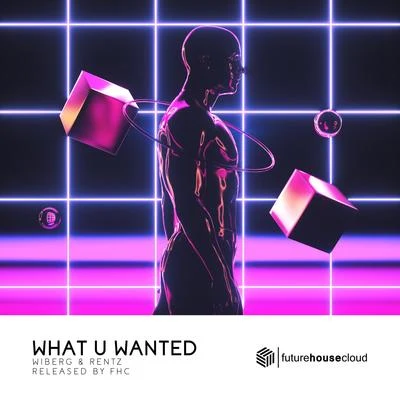 What U Wanted 专辑 Sickrate/Rentz