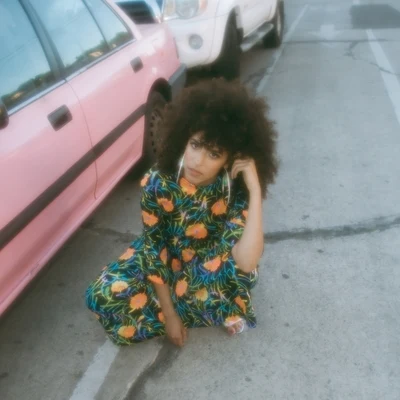 Birdie Bees 專輯 Gavin Turek