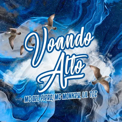 Voando alto 專輯 K-naman/Lil Tec/Mc Erikah