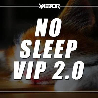 XaeboR No Sleep VIP 2.0