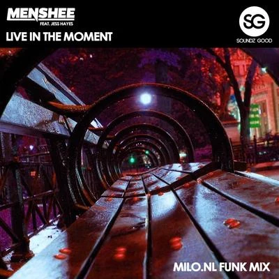 Live In The Moment (Milo.nl Funk Mix) 專輯 Menshee/Chipcat/STRAAW/Pawax/DJ Nirro