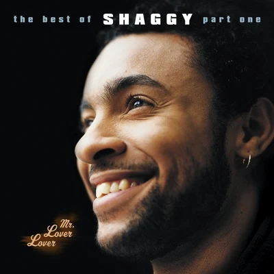 ShaggyWhiteRobinsonPatrickDelonStahlAstor PiazzollaJOHNReynoldsDisco Fever Mr Lover Lover - The Best Of Shaggy... (Part 1)