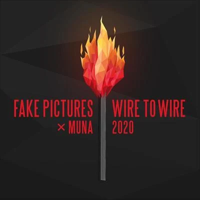 Wire To Wire 2020 專輯 Fake Pictures