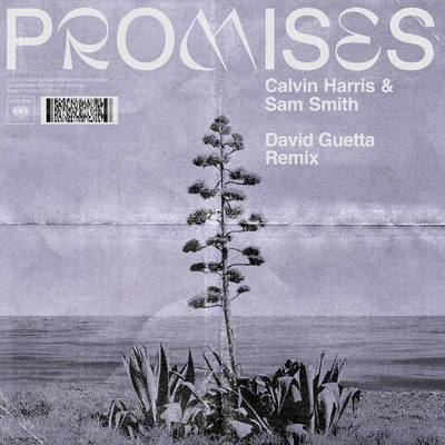 Promises (David Guetta Extended Remix) 專輯 David Guetta