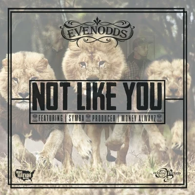 Not Like You (feat. Symba) - Single 专辑 Evenodds