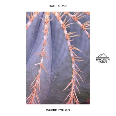 Where You Go 專輯 Raie