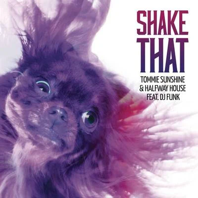 Shake That (Radio Edit) 專輯 Tommie Sunshine