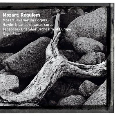 Mozart : Requiem & Ave verum corpus 專輯 趙薇 (Vicki Zhao)/Chamber Orchestra of Europe/Claudio Abbado/譚盾