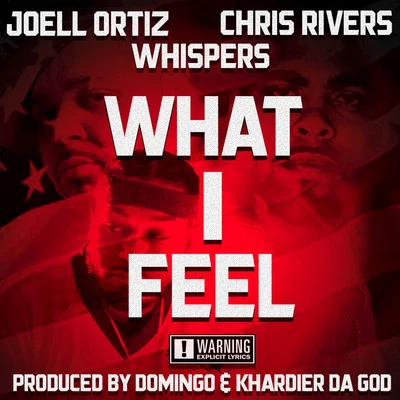 What I Feel 專輯 Stoupe/Joell Ortiz