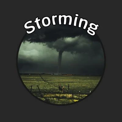 Storming (feat. Evan) 专辑 Riley