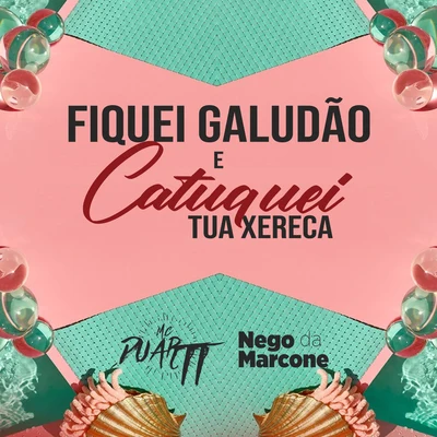 Fiquei Galudão e Catuquei Tua Xereca 專輯 Mc Duartt/DJ DN