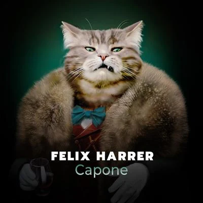 Capone (Extended Mix) 專輯 Felix Harrer