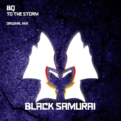 To The Storm 专辑 BQ