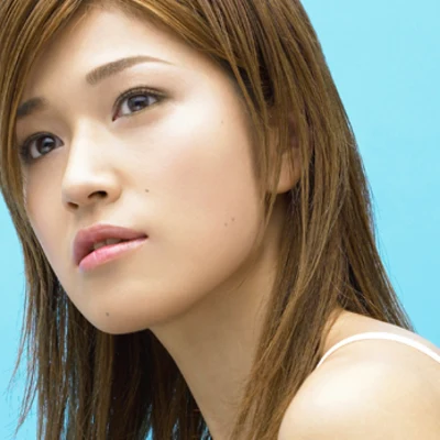 A Perfect Sky 专辑 Bonnie Pink