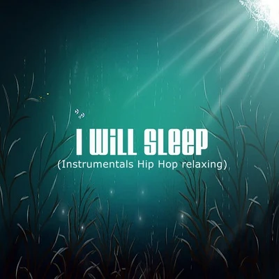 Snake Beats I will sleep - (Instrumentals Hip Hop relaxing)