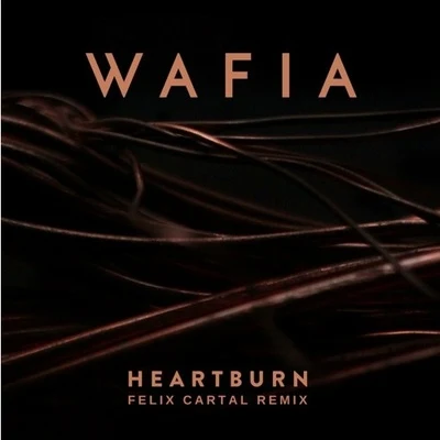 Felix CartalAutoerotique Heartburn (Felix Cartal Remix)