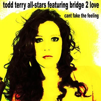 Cant Fake the Feeling 專輯 Todd Terry All Stars