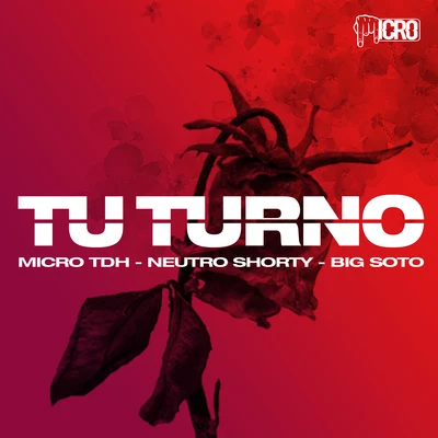 Micro TdhBig Soto Tu Turno