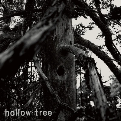 Hollow Tree 專輯 Mr. Tophat