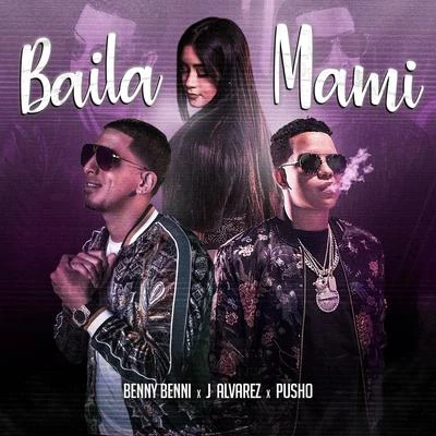 Baila Mami 专辑 Pusho/J Alvarez/Carlitos Rossy/Luigi 21 Plus/Franco El Gorila