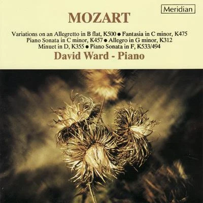 Mozart: Piano Music 專輯 David Ward