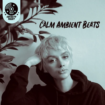 DJ Infinity Night Calm Ambient Beats