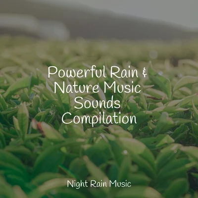 Sounds Of Nature: Thunderstorm/Sounds of Rain & Thunder Storms/Sonido Del Bosque y Naturaleza Powerful Rain & Nature Music Sounds Compilation