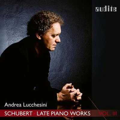 Schubert: Allegretto from Piano Sonata No. 18, D. 894 Fantasia 專輯 Andrea Lucchesini