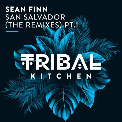 Sean Finn San Salvador (The Remixes) Pt. 1