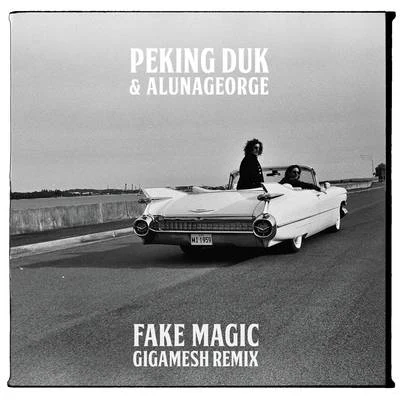 Fake Magic (Gigamesh Remix) 專輯 Peking Duk