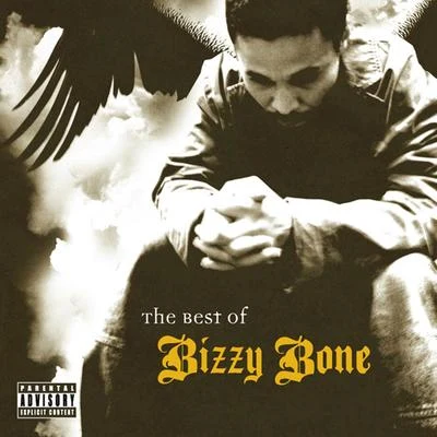 The Best of Bizzy Bone, Vol. 1 专辑 Bizzy Bone