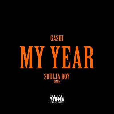 My Year REMIX 专辑 GASHI