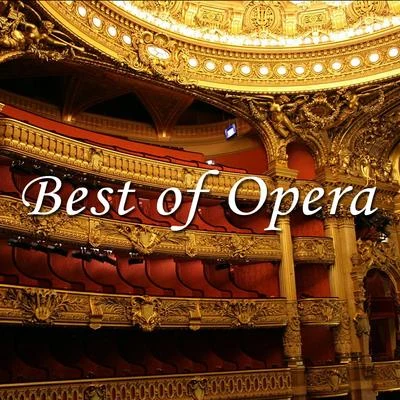 Best of Opera 專輯 Antonino Votto