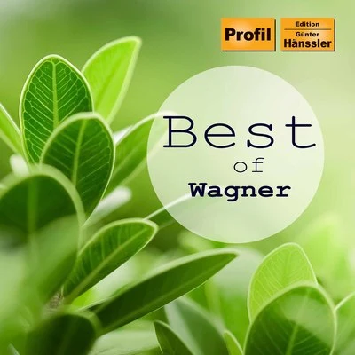 Best of Wagner 专辑 Wolfgang Windgassen