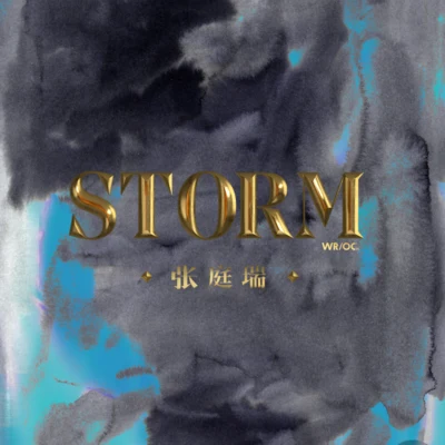 WROCFIJIDAYTONA500GS.L 風暴 (STORM)