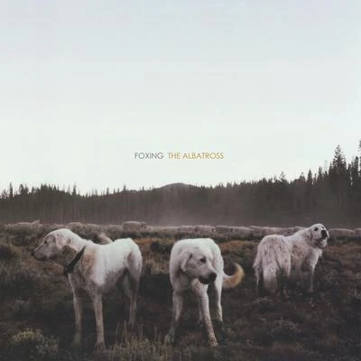 The Albatross 專輯 Foxing