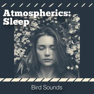 Atmospherics: Sleep 专辑 Bird Song Group/Bird Sounds