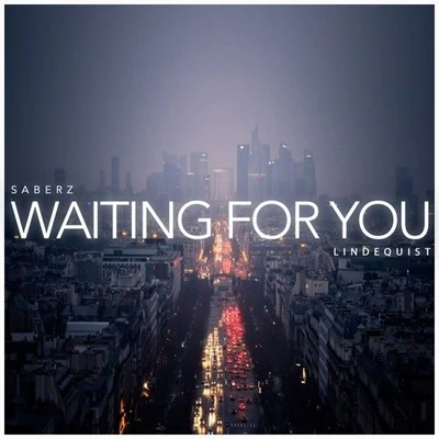 Waiting For You (Original Mix) 专辑 SaberZ/Kris Maydak/Culture Code/Arcando/Johnning