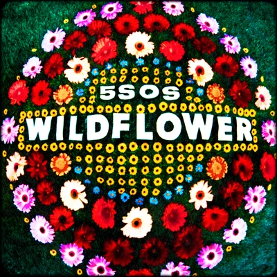 Wildflower 專輯 5 Seconds of Summer