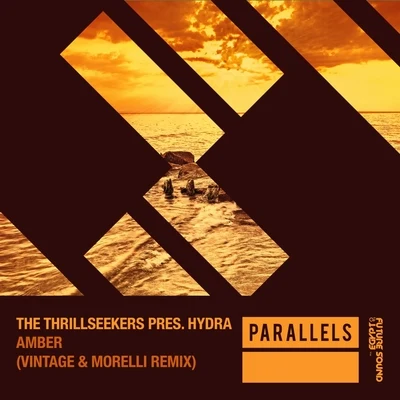 The ThrillseekersFerry Corsten Amber (Vintage & Morelli Remixes)