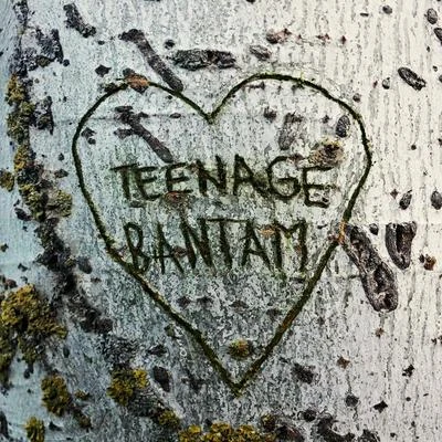 Teenage Bantam 专辑 Sesentay6