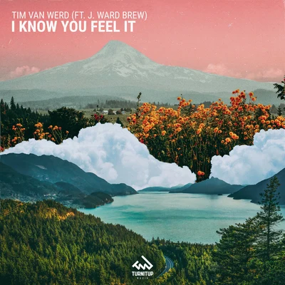 I Know you Feel It 专辑 Tim van Werd