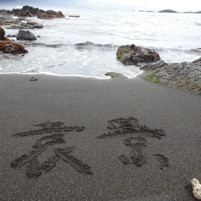 我会旅行到你家门口 专辑 袁景