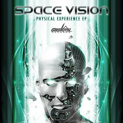 Space Vision The Physical Experience