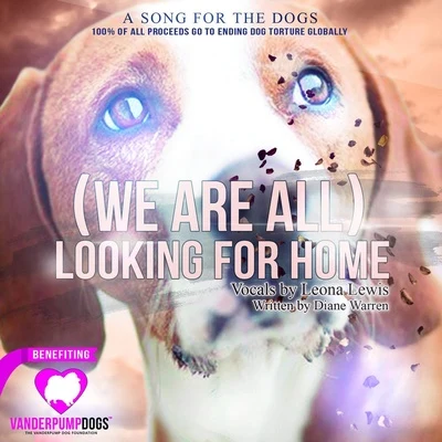 (We Are All) Looking for Home 專輯 Diane Warren/Desmond Child/Alice Cooper/A. Cooper/Joan Jett