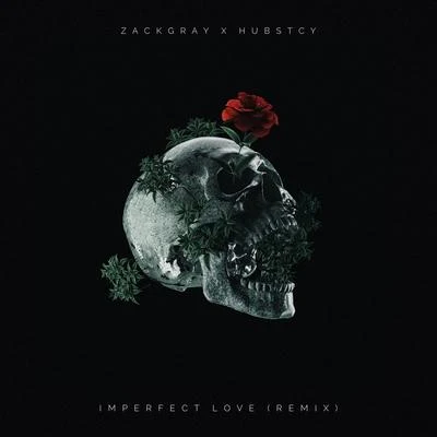 Imperfect Love (Hubstcy Remix) 專輯 Falling North/Zack Gray